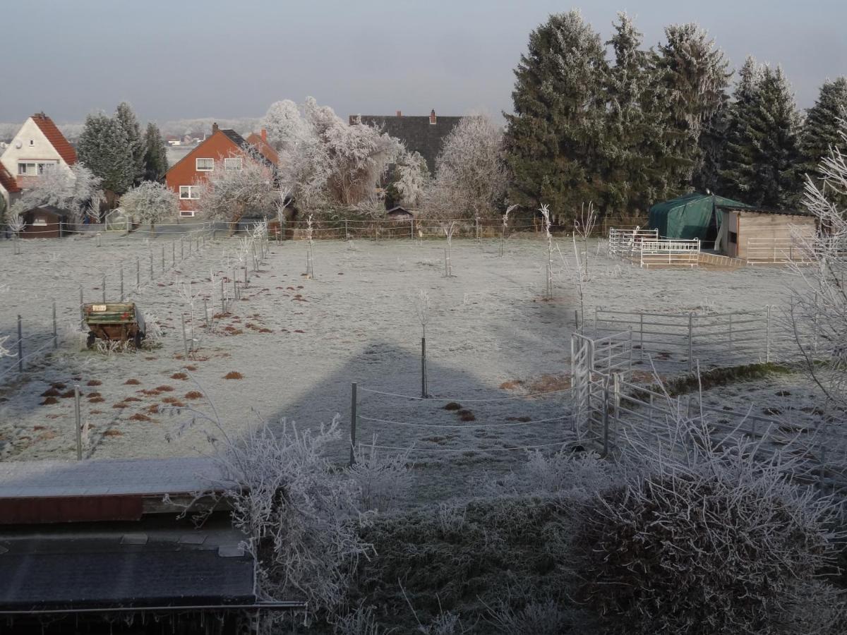 Ferienwohnung Gruenewaldstrasse 22 Bunde Bagian luar foto